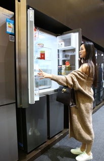 高端家電逆勢增長 供需失衡下的市場突圍與軟件開發賦能